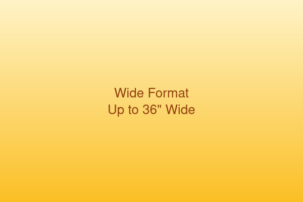 Wide format digital services